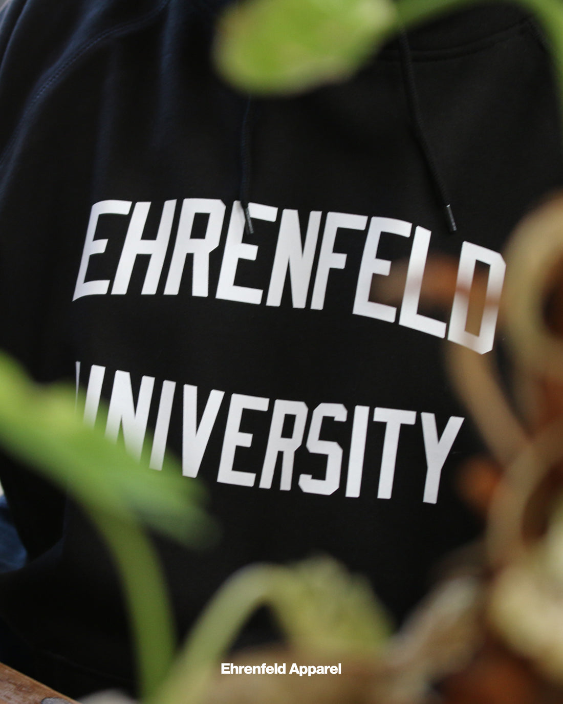 Ehrenfeld University