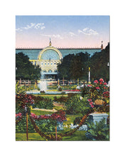 Laden Sie das Bild in den Galerie-Viewer, Flora Print
