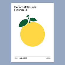 Laden Sie das Bild in den Galerie-Viewer, Fernmeldeturm Citronius Poster
